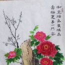 서예 Daum카페
