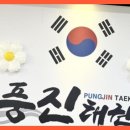풍진(태권도) 이미지