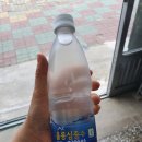 울릉도특산품직판장 이미지