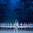 모스크바 국립발레단 내한공연-백조의 호수 이미지