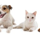 빛가람호수공원전망대 이미지