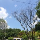 카우보이 캠핑장 이미지