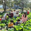 하나유치원 이미지