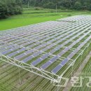 보성태양광발전소 이미지