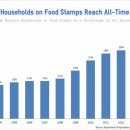 미국에서 짐승의표 와 Food stamp 연관성 (social welfare system) 이미지