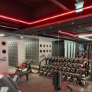 울프피트니스 이미지