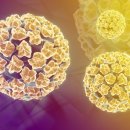 유로진여성의원 이미지