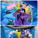 해맑은 태권도 이미지