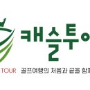 리앤리캐슬 이미지
