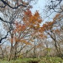 보림농장 이미지