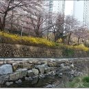 좌1동 주민센터 이미지