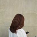 동대문역 미용실 <라피오리레헤어 동묘앞점> 뿌리염색 레이어드컷 여진디자이너 후기