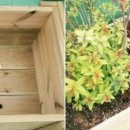 도시농업센터 이미지