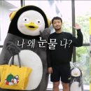 이마트 수박사면 펭수 장바구니 준대여 이미지