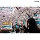 예술회관사거리 네이버블로그