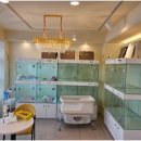 라이프독 이미지