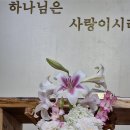 6월23일 백합과 수국 장미로 이미지