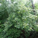 봉제산 오리나무쉼터 이미지