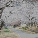 가산수피아 이미지