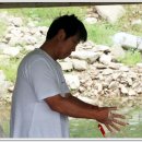 김동범 카카오 검색결과