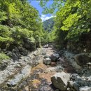 뒷골2로 이미지