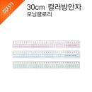 모닝글로리세종