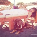 강아지마을2012 이미지