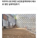 문산읍사무소 | 파주미니포크레인 잔디 조경 기초터파기 레미콘타설한 실제작업후기(허니미니중기)