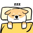 유수연미용실 이미지