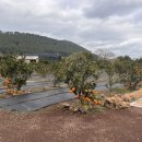 스테이 아이올라 이미지