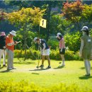 파크골프 이미지