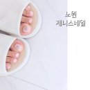 제니스네일1호