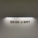 브릭리언트 이미지