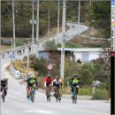 골든바이크