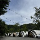 숲속에 머물다 이미지