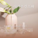 스킨스파 네이버블로그
