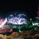 표선면 동산식당 이미지