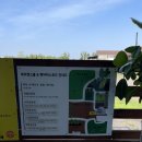 제주펫스쿨 이미지