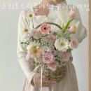 스위트드림플라워 이미지