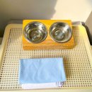 파레사애견풀빌라 이미지