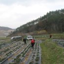 월산면사무소 이미지