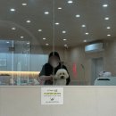 동그라미펫 | [모모펫살롱 탕정점] 아산 탕정 반려견 미용실