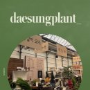 대성판매장 이미지