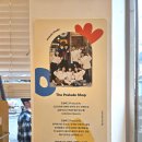 더 샵 | 대전 선화동 소품샵 더프렐류드샵 The Prelude Shop 후기