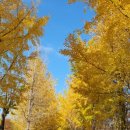 여주-1071 이미지