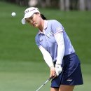 그린샷 골프클럽 이미지