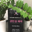 강민정헤어 네이버블로그
