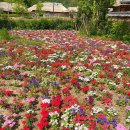 주)월곡영화골 이미지