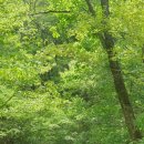 청풍호수펜션 이미지