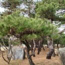 진소농장 네이버블로그
